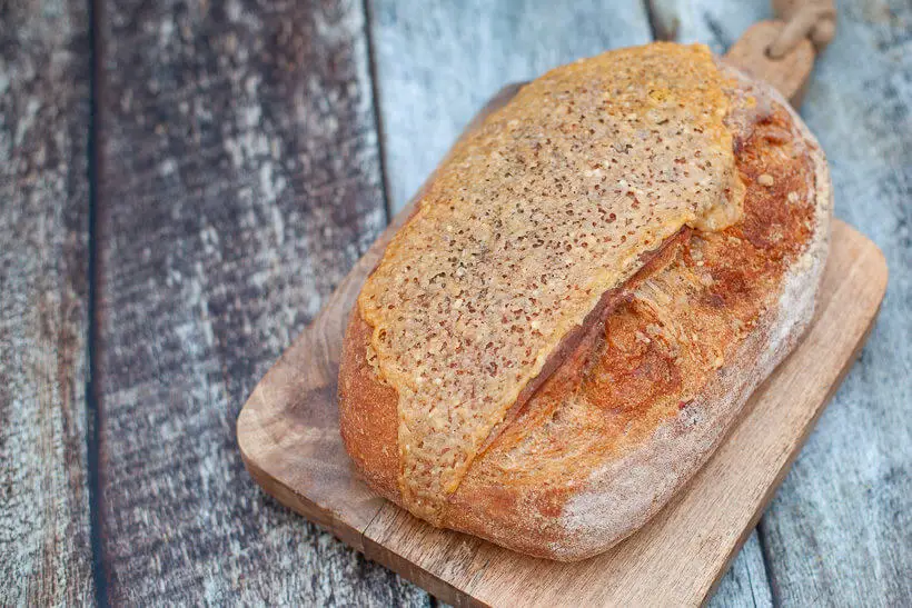 Gorgeous and delicious sourdough bread with cheddar