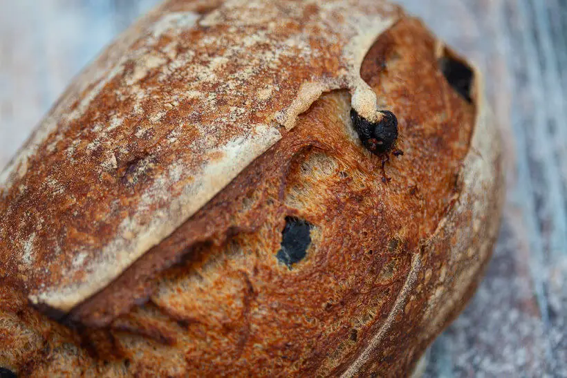 Olive sourdough bread with great oven spring