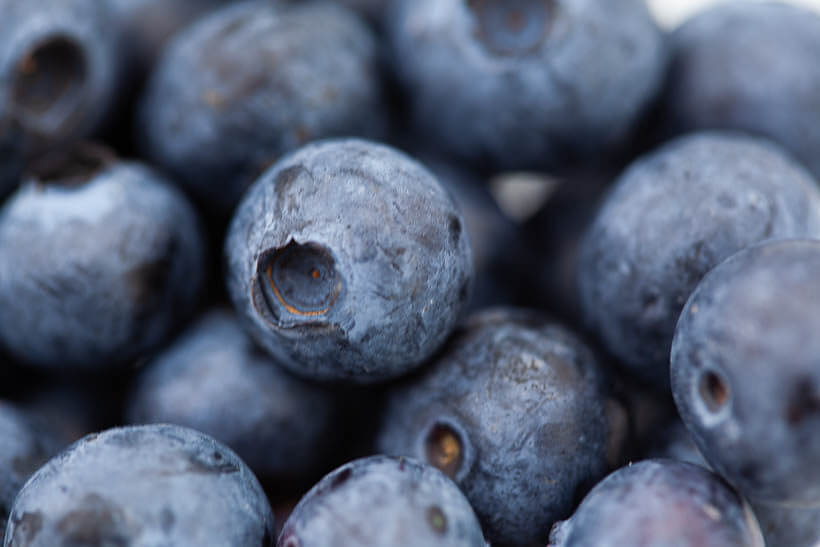 Fresh blueberries used in this blueberry swirl sourdough brioche bread recipe