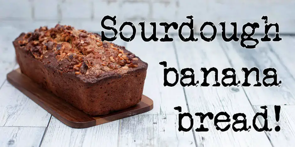 https://foodgeek.dk/wp-content/uploads/2019/08/sourdough-banana-bread-hero.jpg?ezimgfmt=ng%3Awebp%2Fngcb1%2Frs%3Adevice%2Frscb1-2