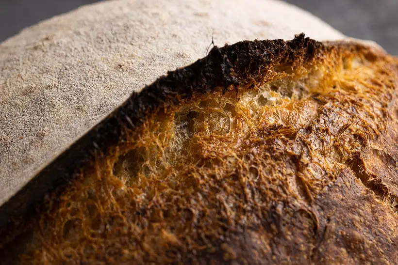 high hydration sourdough bread recipe - the gorgeous crust