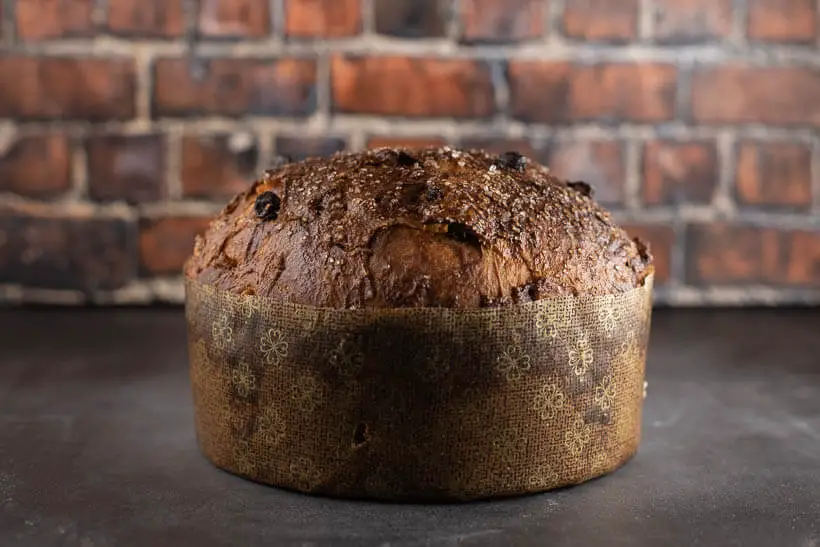 Super easy sourdough panettone in front of a brick wall
