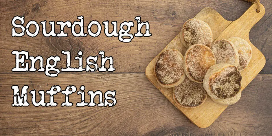 Sourdough English Muffins recipe