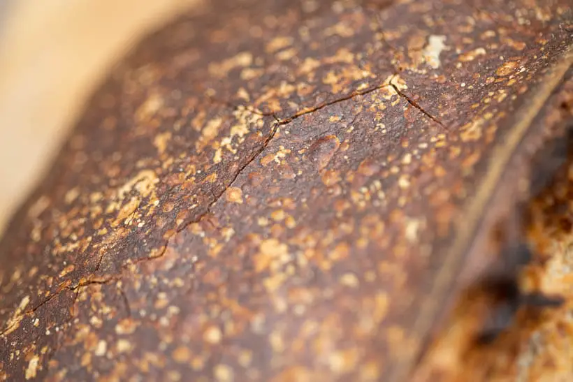 The cracked crust of a no knead sourdough bread