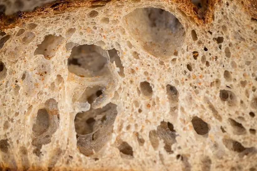 Gorgeous open crumb from this sourdough bread stand mixer recipe