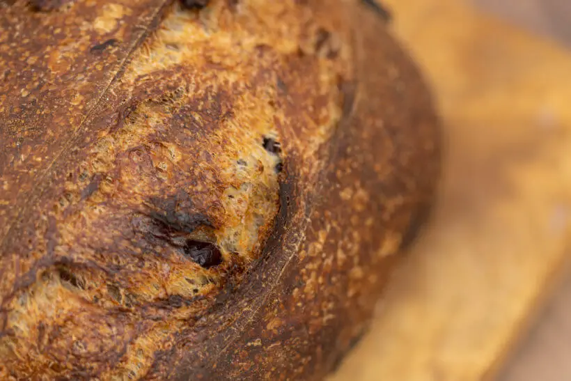 the deeply caramelized crust of this cranberry walnut sourdough bread