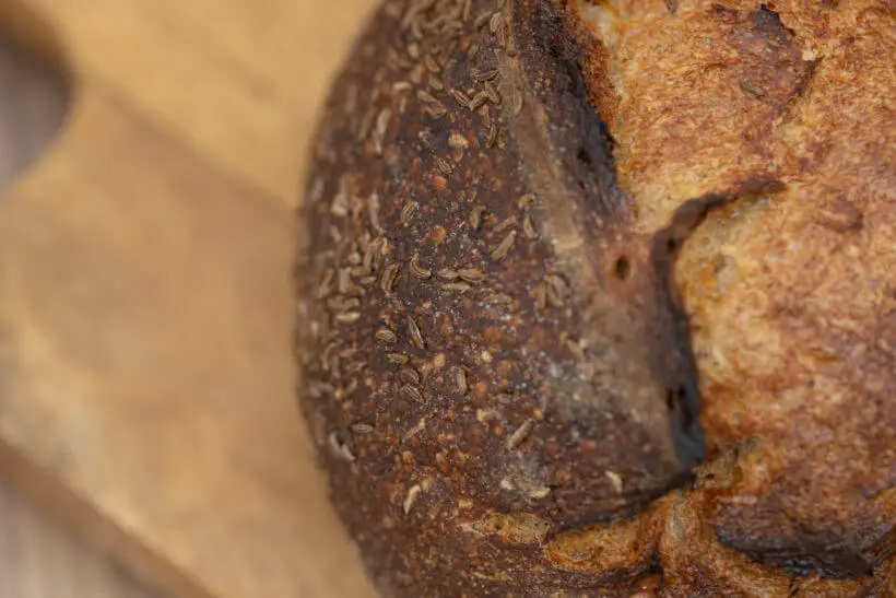 the crunchy crust of this jewish sourdough bread
