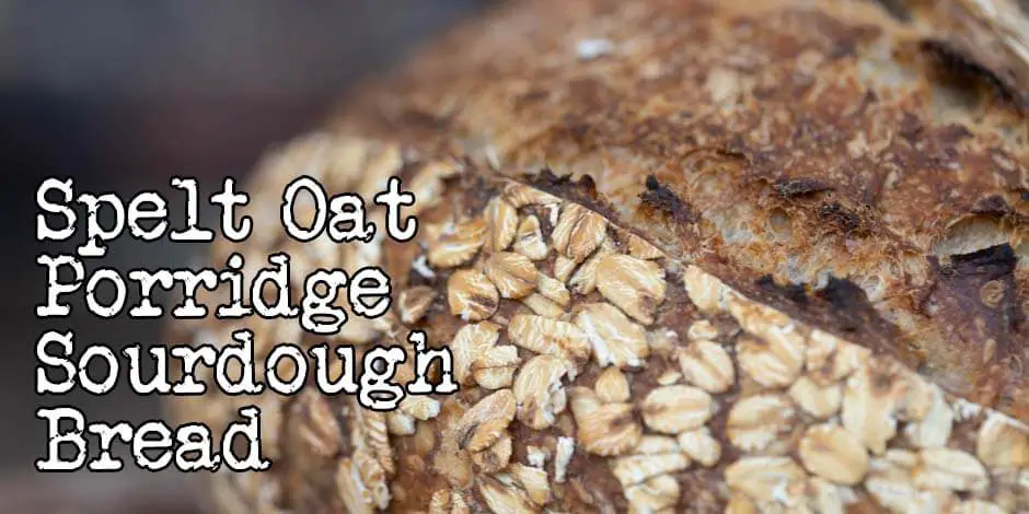 Oatmeal Sourdough Bread Recipe - An easy and healthy bread