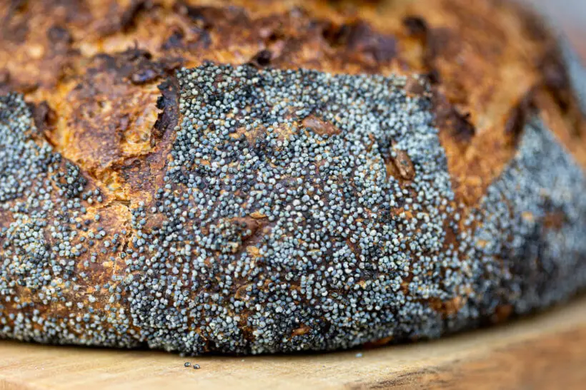 the gorgeous outside of this seeded sourdough bread