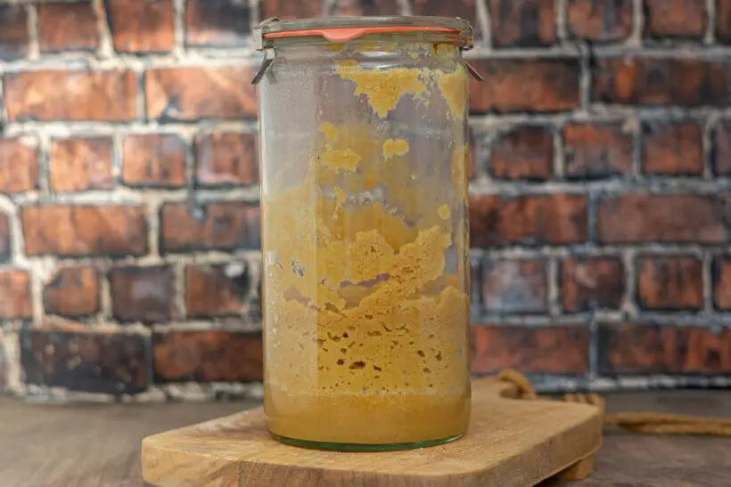 apple sourdough starter in a weck jar