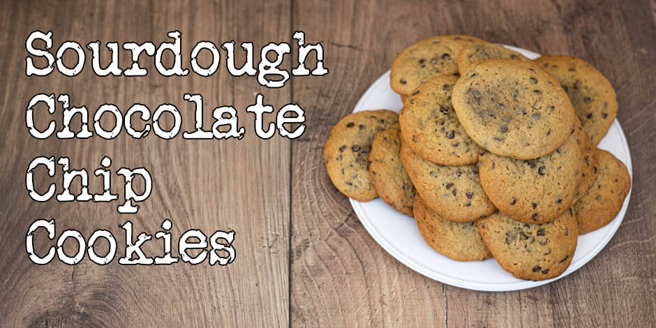 Sourdough Chocolate Chip Cookies Recipe | The best cookies in the world
