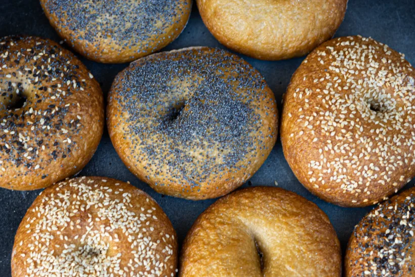 a myriad of new york-style bagels on a concrete floor