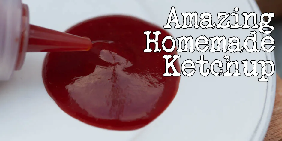 Amazing Homemade Ketchup Recipe