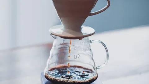 Coffee Scale Swelling/Expanding?? : r/pourover